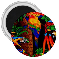 Parrots Aras Lori Parakeet Birds 3  Magnets by Nexatart