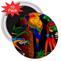 Parrots Aras Lori Parakeet Birds 3  Magnets (10 Pack)  by Nexatart