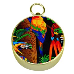 Parrots Aras Lori Parakeet Birds Gold Compasses by Nexatart