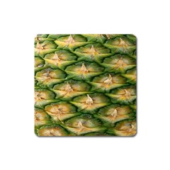 Pineapple Pattern Square Magnet by Nexatart