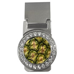 Pineapple Fruit Close Up Macro Money Clips (cz)  by Nexatart