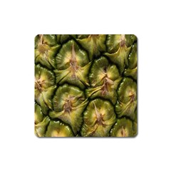 Pineapple Fruit Close Up Macro Square Magnet by Nexatart