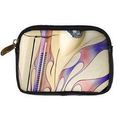 Pin Stripe Car Automobile Vehicle Digital Camera Cases by Nexatart