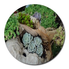 Plant Succulent Plants Flower Wood Round Mousepads by Nexatart