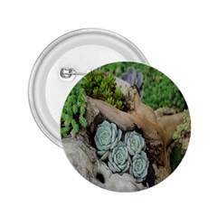 Plant Succulent Plants Flower Wood 2 25  Buttons by Nexatart