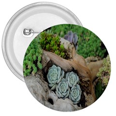 Plant Succulent Plants Flower Wood 3  Buttons by Nexatart