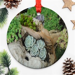 Plant Succulent Plants Flower Wood Ornament (round) by Nexatart