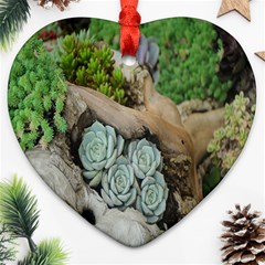 Plant Succulent Plants Flower Wood Ornament (heart) by Nexatart