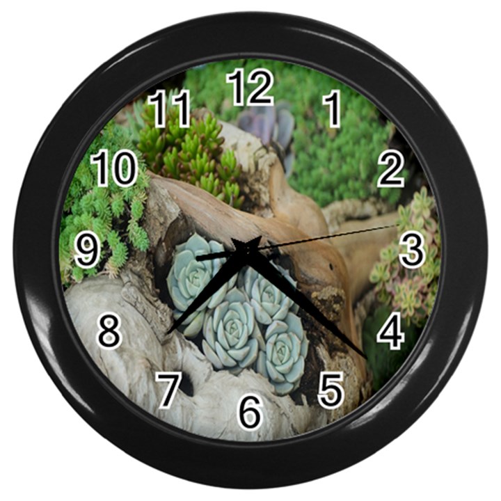 Plant Succulent Plants Flower Wood Wall Clocks (Black)