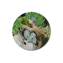 Plant Succulent Plants Flower Wood Magnet 3  (round) by Nexatart