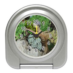 Plant Succulent Plants Flower Wood Travel Alarm Clocks by Nexatart