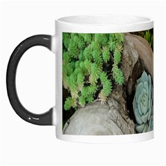 Plant Succulent Plants Flower Wood Morph Mugs by Nexatart