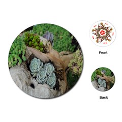 Plant Succulent Plants Flower Wood Playing Cards (round)  by Nexatart