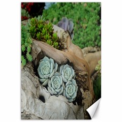 Plant Succulent Plants Flower Wood Canvas 12  X 18   by Nexatart