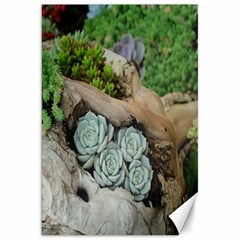 Plant Succulent Plants Flower Wood Canvas 20  X 30   by Nexatart