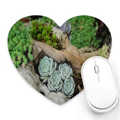 Plant Succulent Plants Flower Wood Heart Mousepads by Nexatart