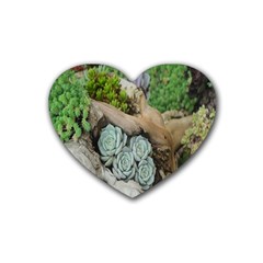 Plant Succulent Plants Flower Wood Rubber Coaster (heart)  by Nexatart