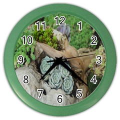 Plant Succulent Plants Flower Wood Color Wall Clocks by Nexatart