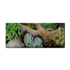 Plant Succulent Plants Flower Wood Cosmetic Storage Cases by Nexatart