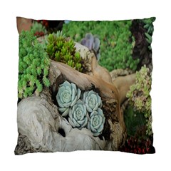 Plant Succulent Plants Flower Wood Standard Cushion Case (one Side) by Nexatart