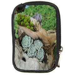 Plant Succulent Plants Flower Wood Compact Camera Cases by Nexatart