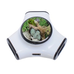 Plant Succulent Plants Flower Wood 3-port Usb Hub by Nexatart