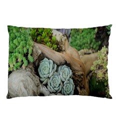 Plant Succulent Plants Flower Wood Pillow Case (two Sides) by Nexatart