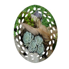 Plant Succulent Plants Flower Wood Oval Filigree Ornament (two Sides) by Nexatart