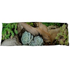 Plant Succulent Plants Flower Wood Body Pillow Case (dakimakura) by Nexatart