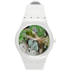 Plant Succulent Plants Flower Wood Round Plastic Sport Watch (m) by Nexatart