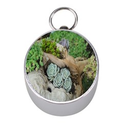 Plant Succulent Plants Flower Wood Mini Silver Compasses by Nexatart