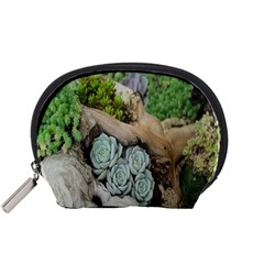 Plant Succulent Plants Flower Wood Accessory Pouches (small)  by Nexatart