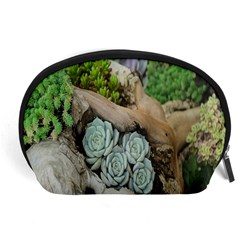 Plant Succulent Plants Flower Wood Accessory Pouches (large)  by Nexatart