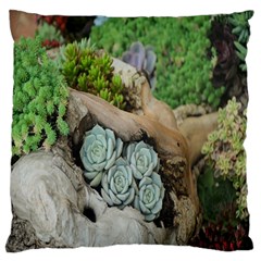 Plant Succulent Plants Flower Wood Standard Flano Cushion Case (two Sides) by Nexatart