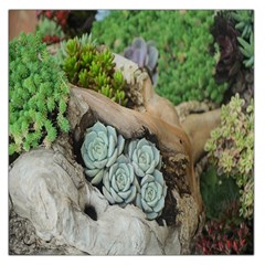 Plant Succulent Plants Flower Wood Large Satin Scarf (square) by Nexatart