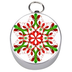 Red And Green Snowflake Silver Compasses by Nexatart