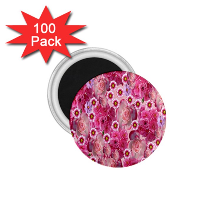 Roses Flowers Rose Blooms Nature 1.75  Magnets (100 pack) 