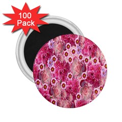 Roses Flowers Rose Blooms Nature 2 25  Magnets (100 Pack)  by Nexatart