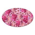 Roses Flowers Rose Blooms Nature Oval Magnet Front