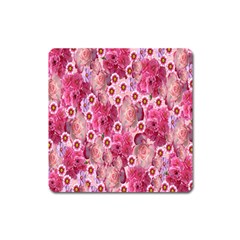 Roses Flowers Rose Blooms Nature Square Magnet by Nexatart