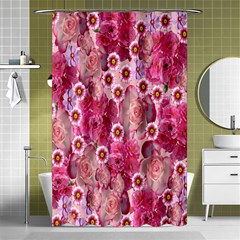 Roses Flowers Rose Blooms Nature Shower Curtain 48  X 72  (small)  by Nexatart