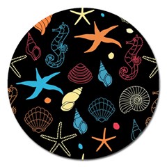 Seahorse Starfish Seashell Shell Magnet 5  (round) by Nexatart