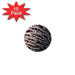 Seed Worn Lines Close Macro 1  Mini Buttons (10 Pack)  by Nexatart