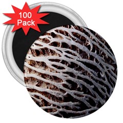 Seed Worn Lines Close Macro 3  Magnets (100 Pack) by Nexatart