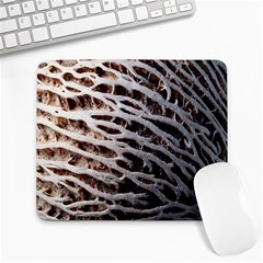 Seed Worn Lines Close Macro Large Mousepads by Nexatart