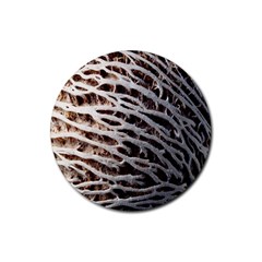 Seed Worn Lines Close Macro Rubber Coaster (round)  by Nexatart