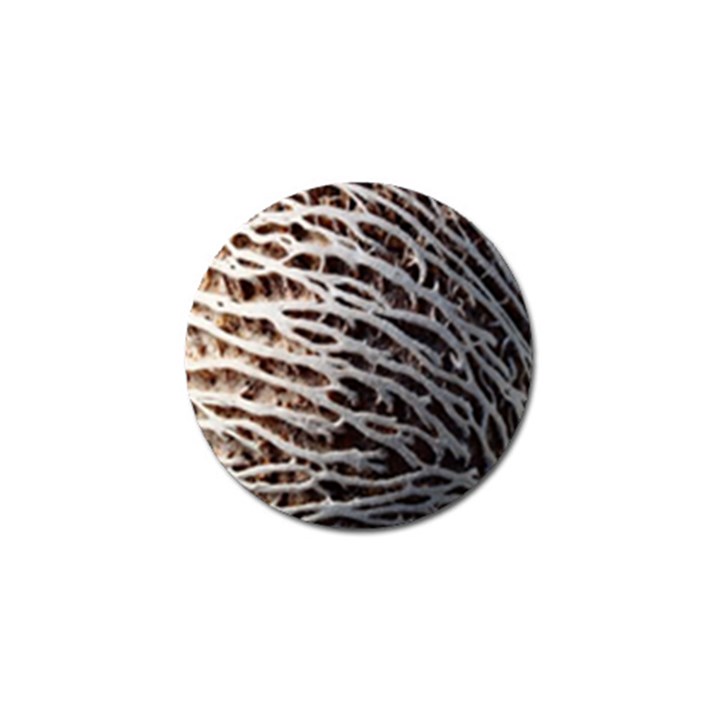 Seed Worn Lines Close Macro Golf Ball Marker (10 pack)