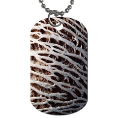 Seed Worn Lines Close Macro Dog Tag (two Sides) by Nexatart