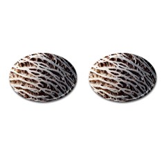 Seed Worn Lines Close Macro Cufflinks (oval) by Nexatart