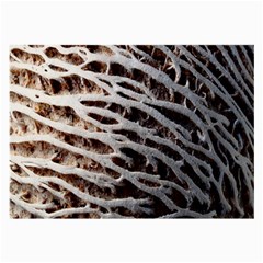 Seed Worn Lines Close Macro Large Glasses Cloth (2-side) by Nexatart